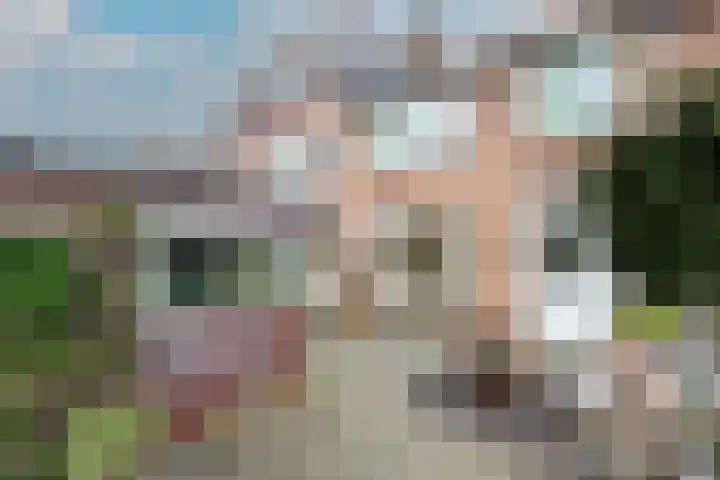 Dorpslaan 31 Nieuw-Lekkerland thumbnail 5