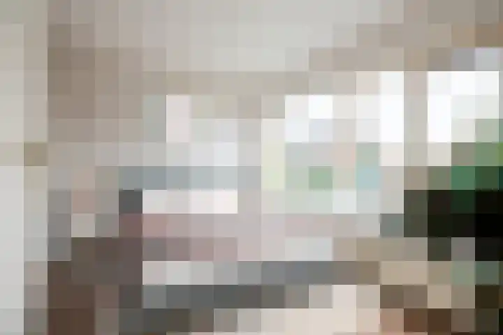 Dorpslaan 31 Nieuw-Lekkerland thumbnail 7