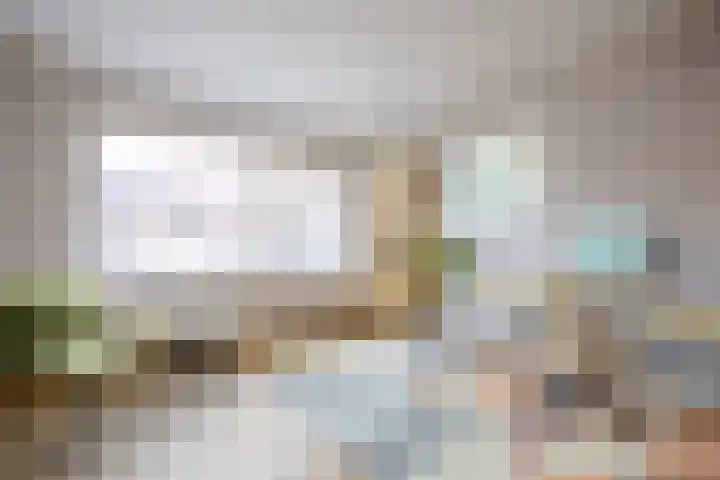 Dorpslaan 31 Nieuw-Lekkerland thumbnail 8