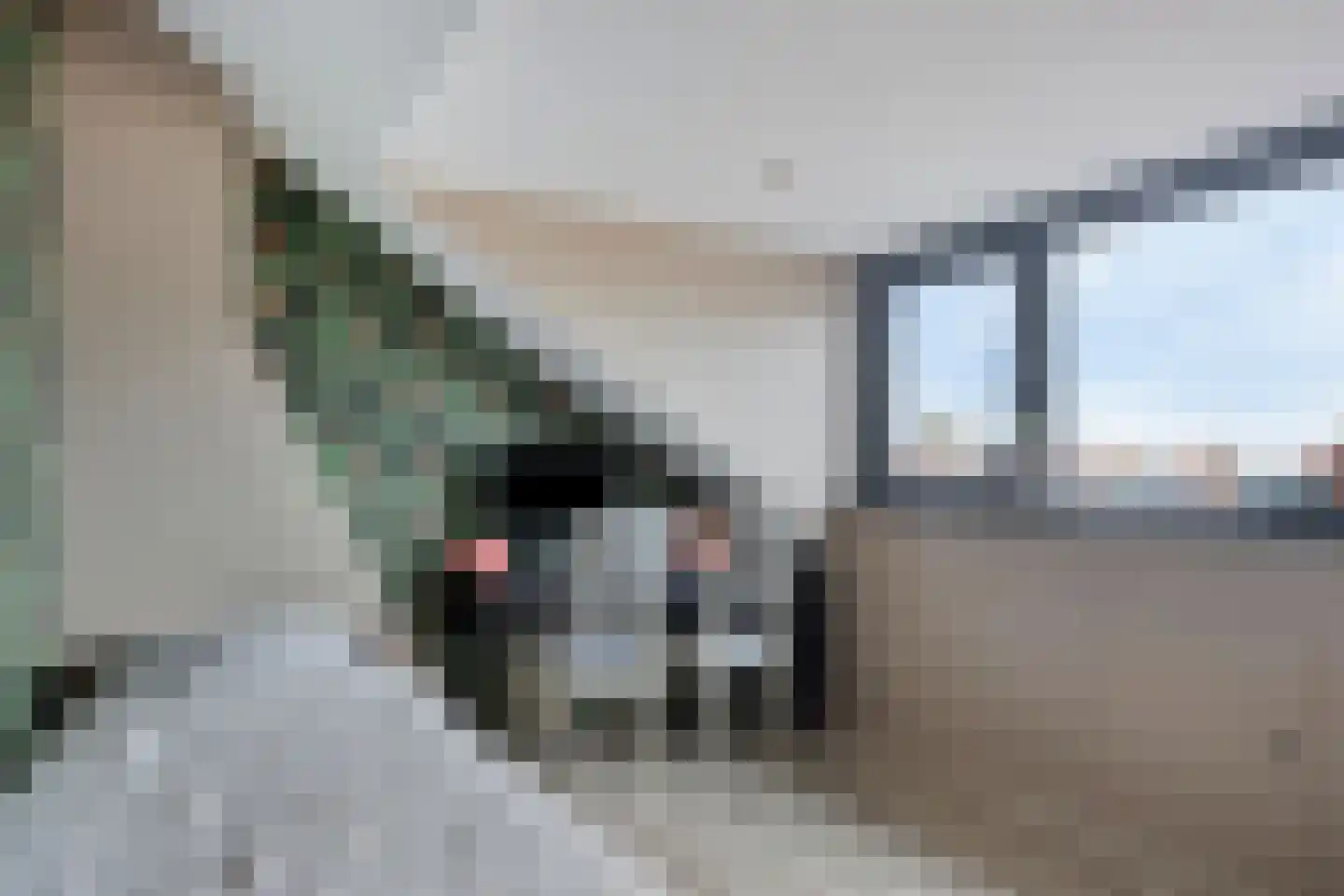 Dorpslaan 42 Nieuw-Lekkerland thumbnail 19
