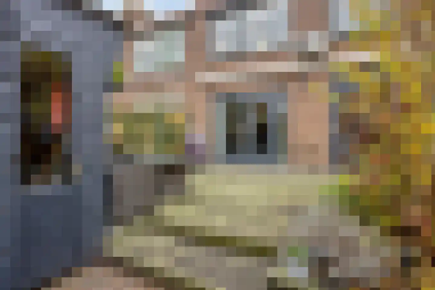 Dorpslaan 42 Nieuw-Lekkerland thumbnail 24