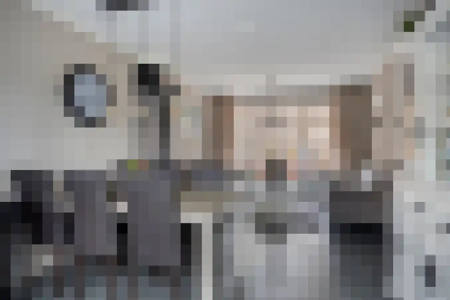 Dorpslaan 42 Nieuw-Lekkerland thumbnail 4