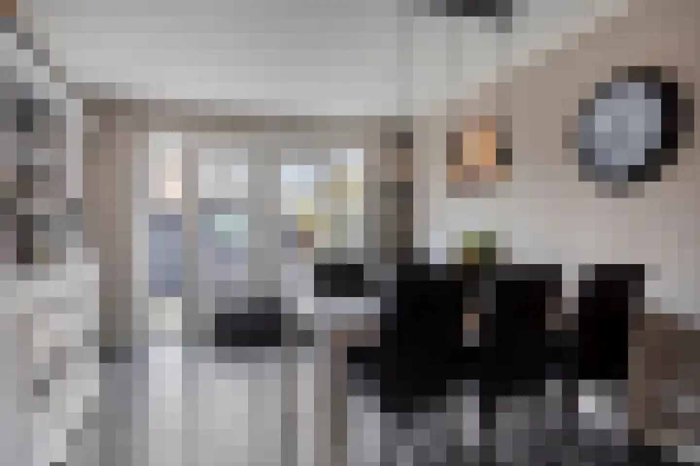 Dorpslaan 42 Nieuw-Lekkerland thumbnail 5