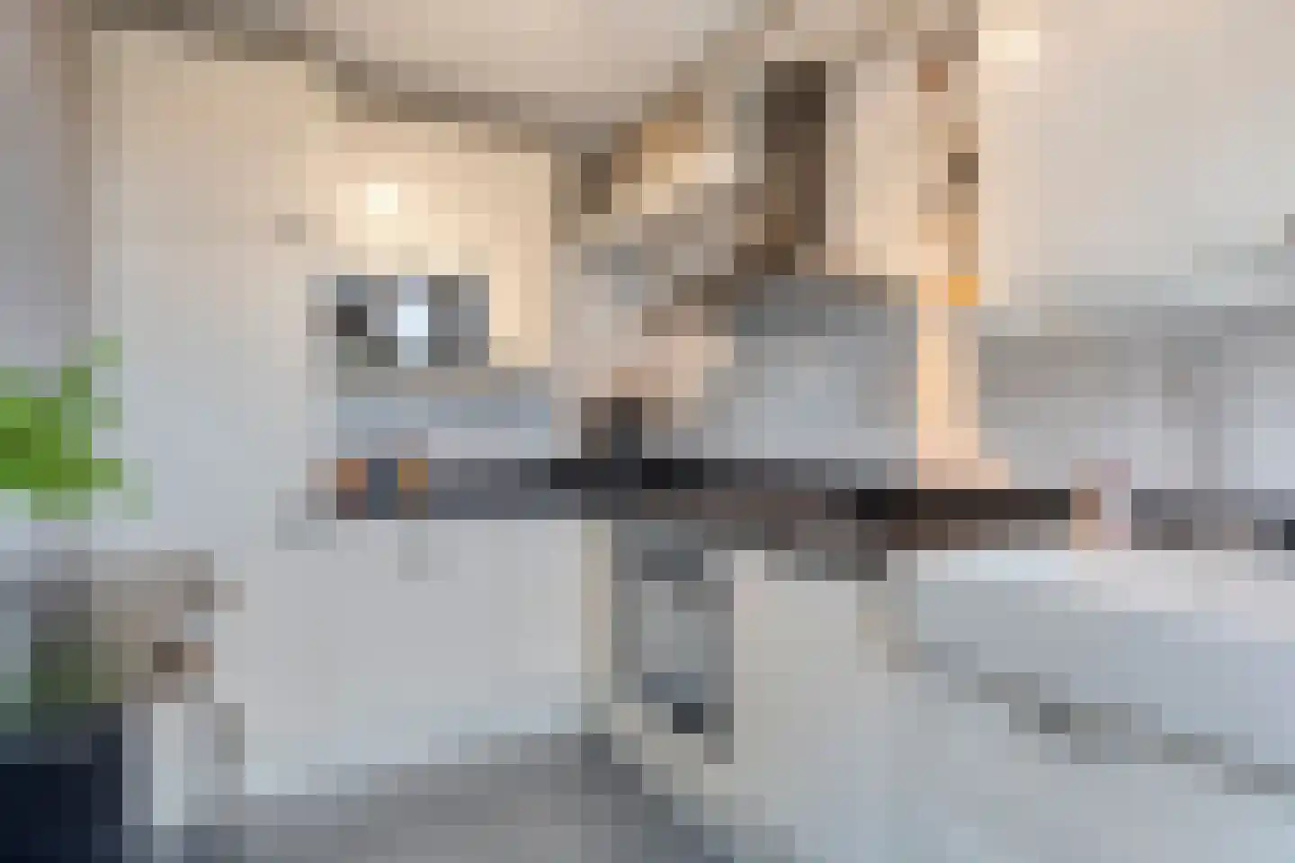 Dorpslaan 42 Nieuw-Lekkerland thumbnail 8