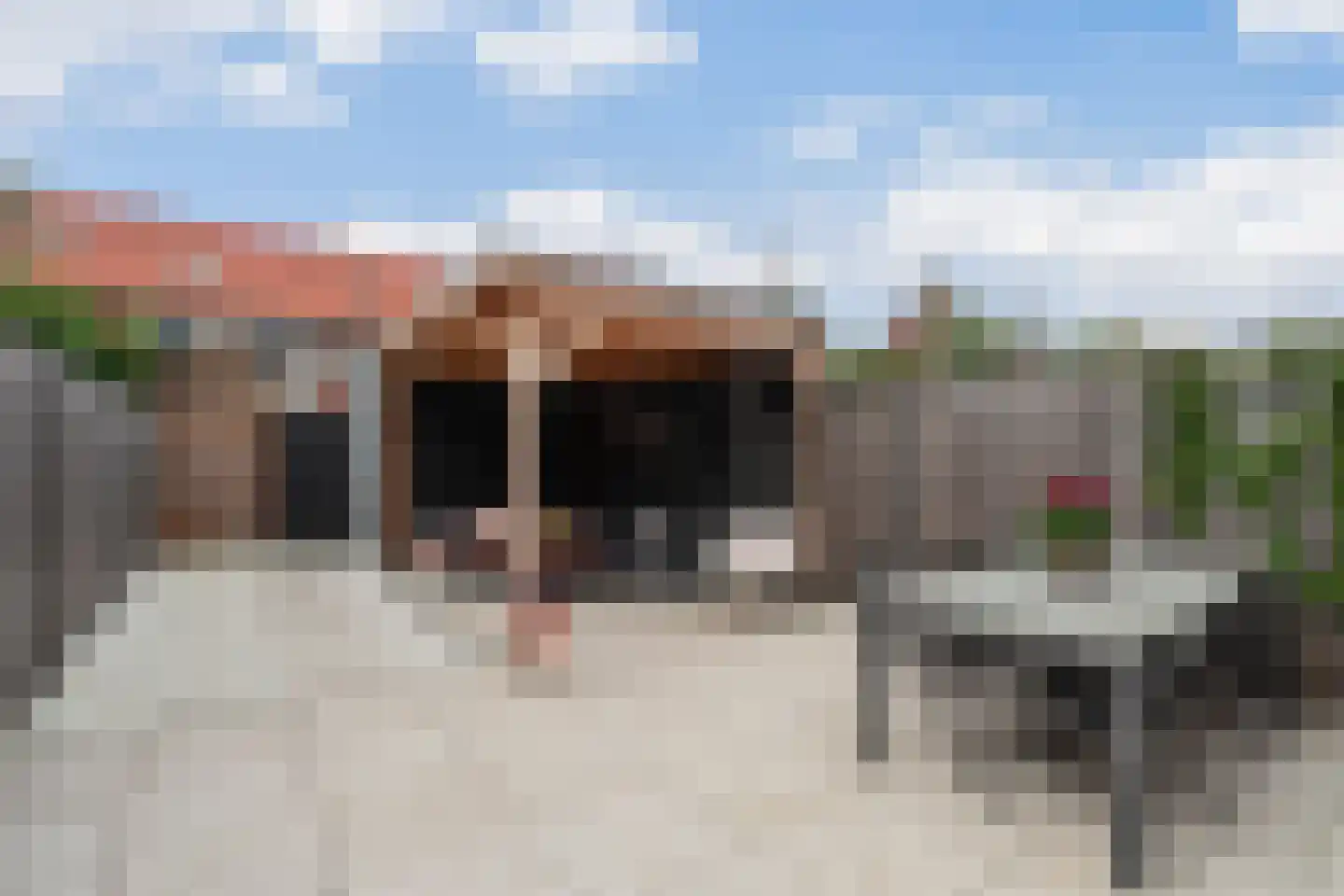 Dorpsomroeper 10 Hendrik-Ido-Ambacht thumbnail 4