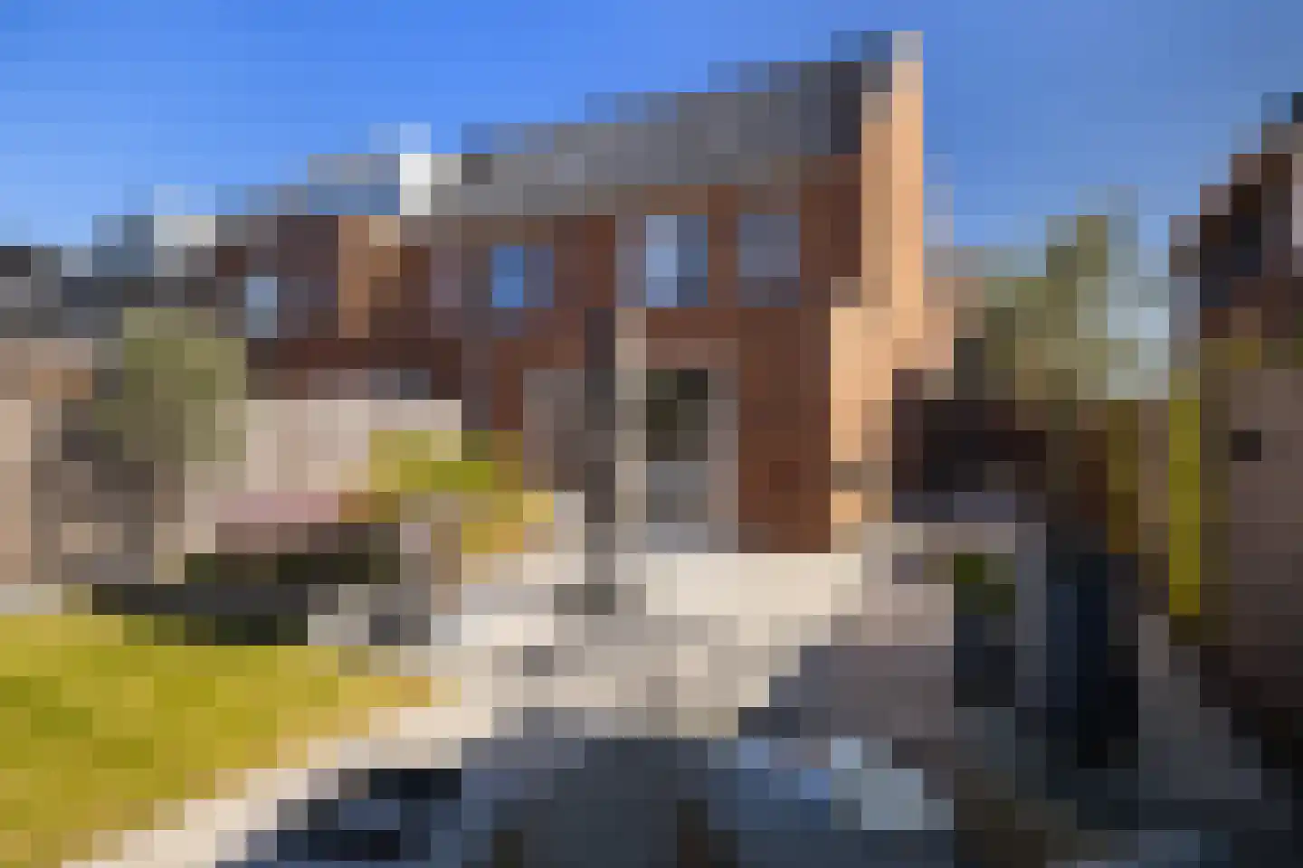 Dorpsomroeper 12 Hendrik-Ido-Ambacht