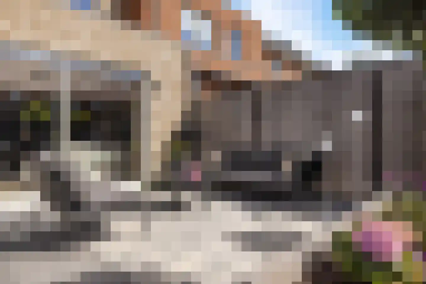 Dorpsomroeper 6 Hendrik-Ido-Ambacht thumbnail 12