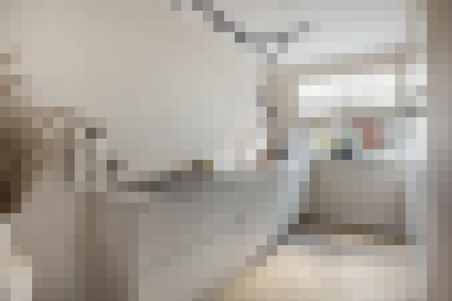 Dorpsomroeper 6 Hendrik-Ido-Ambacht thumbnail 20