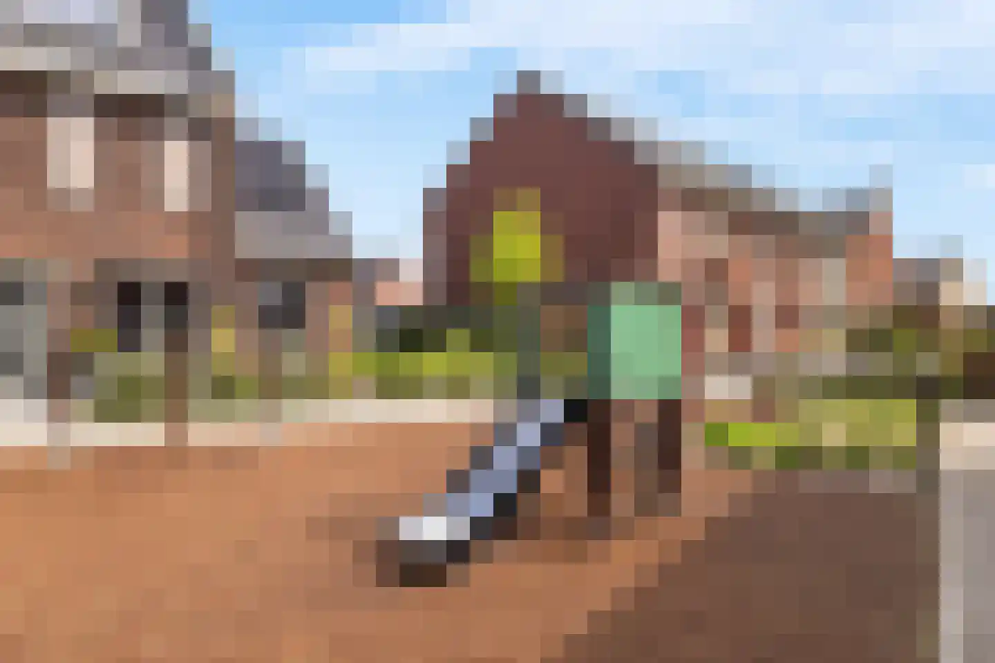 Dorpsomroeper 6 Hendrik-Ido-Ambacht thumbnail 37