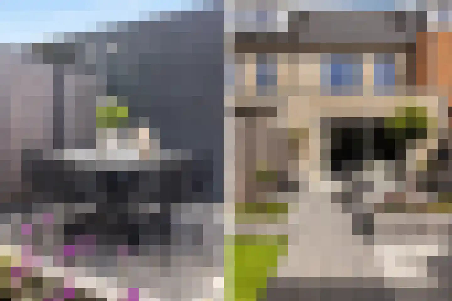 Dorpsomroeper 6 Hendrik-Ido-Ambacht thumbnail 9