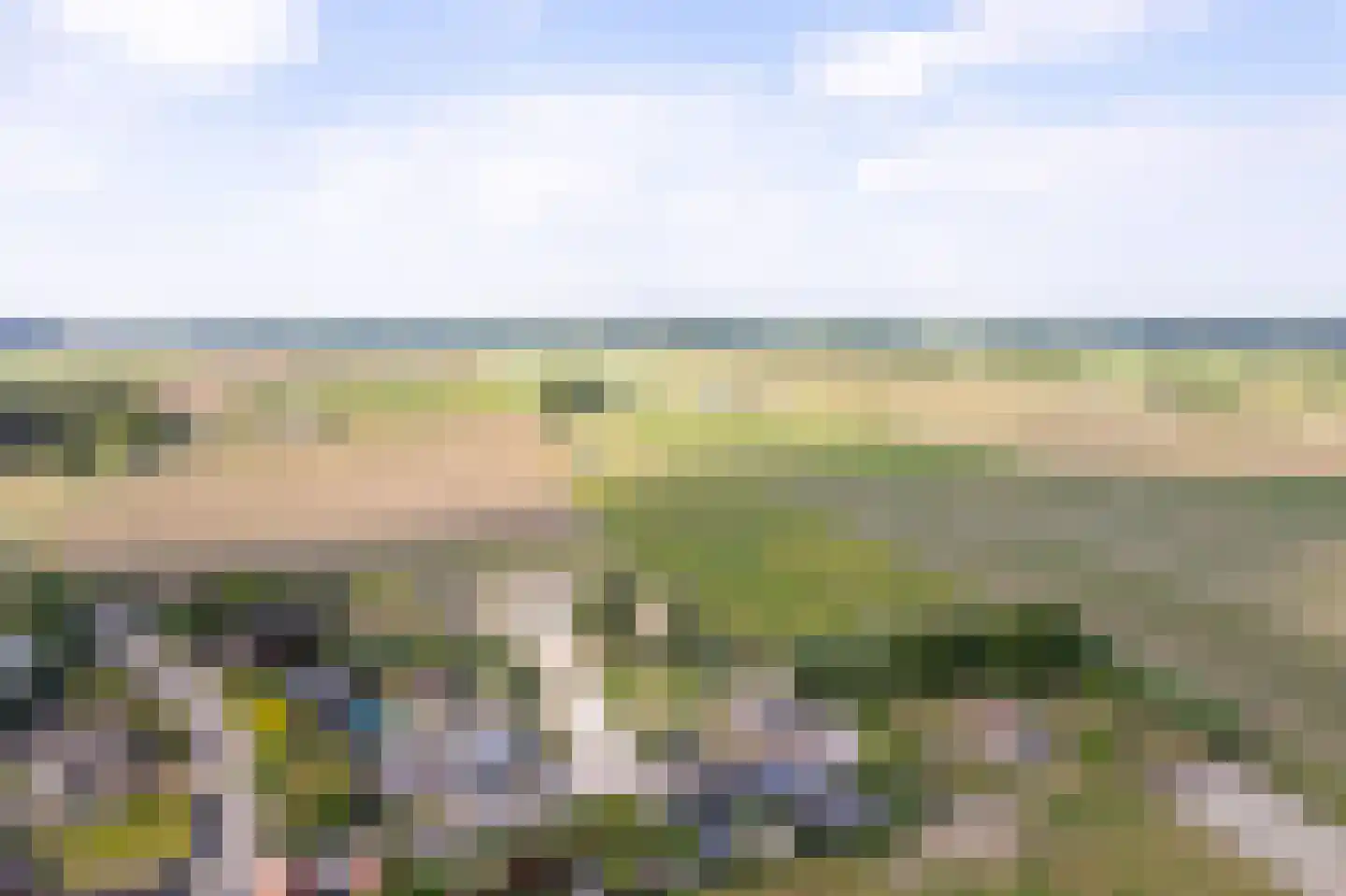 Dorpspad 1 Vogelwaarde thumbnail 10