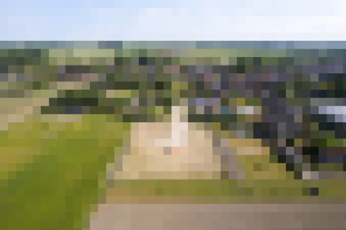 Dorpspad 1 Vogelwaarde thumbnail 11