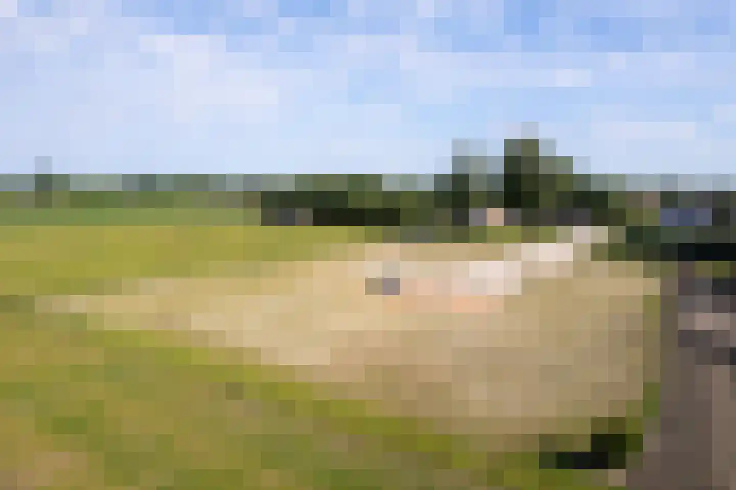 Dorpspad 1 Vogelwaarde thumbnail 12