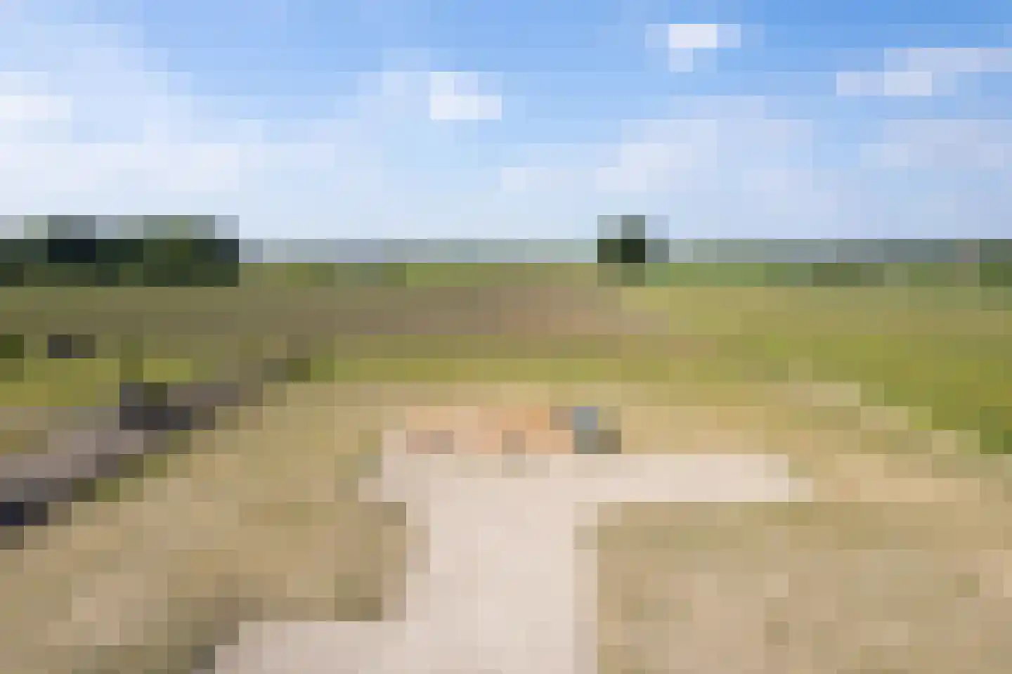 Dorpspad 1 Vogelwaarde thumbnail 4