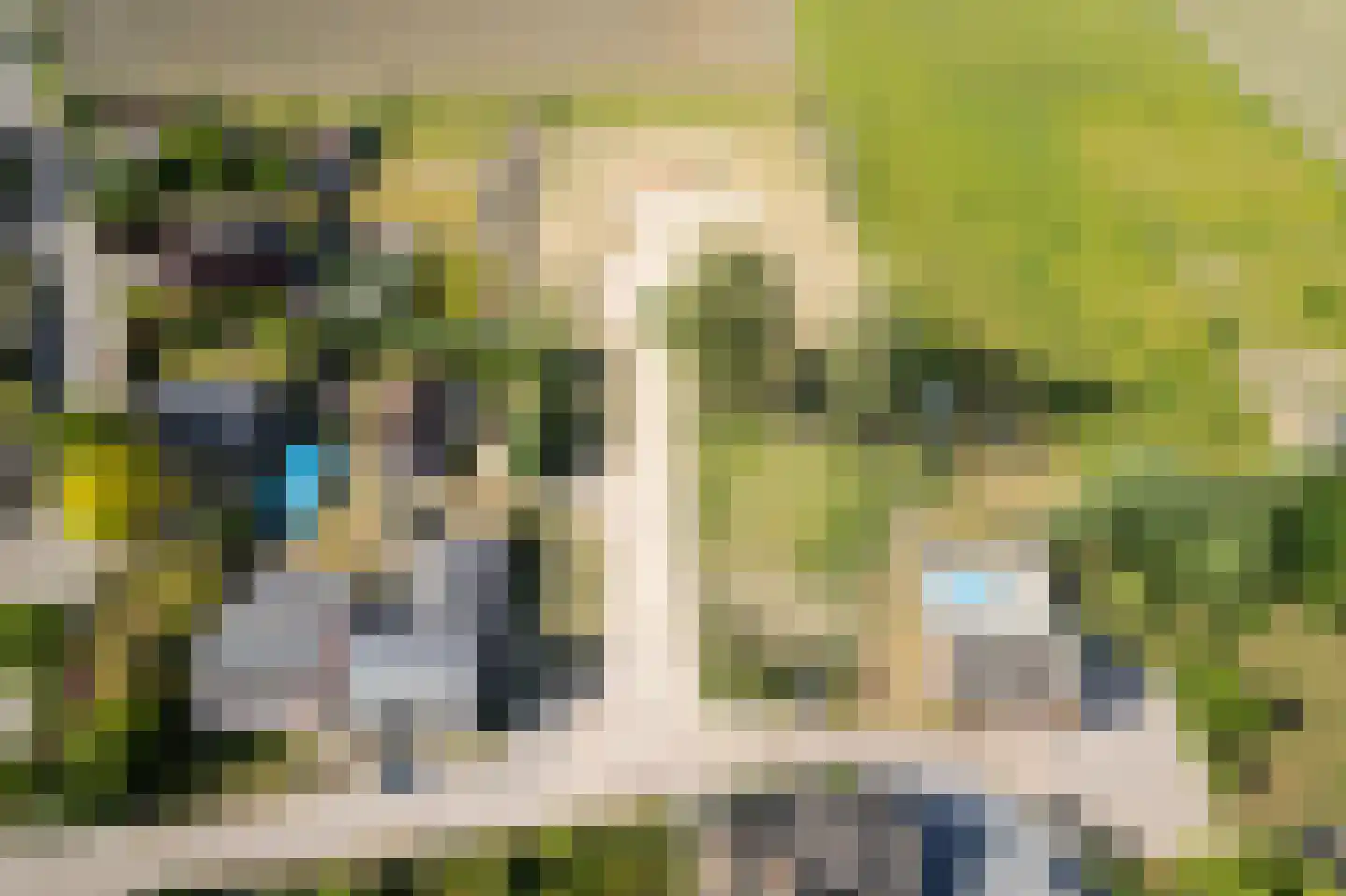 Dorpspad 1 Vogelwaarde thumbnail 5