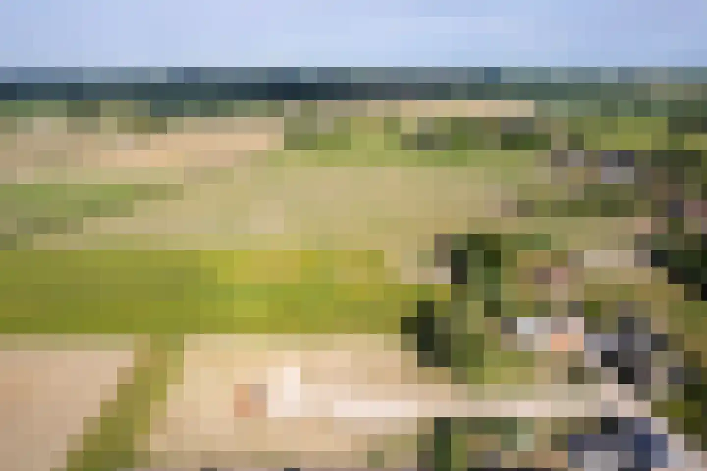 Dorpspad 1 Vogelwaarde thumbnail 6