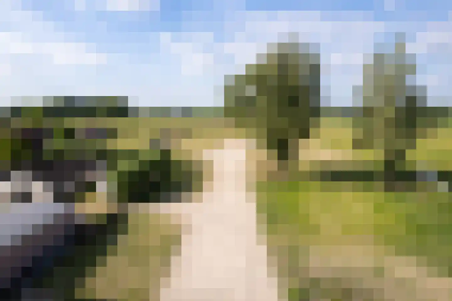 Dorpspad 1 Vogelwaarde thumbnail 7