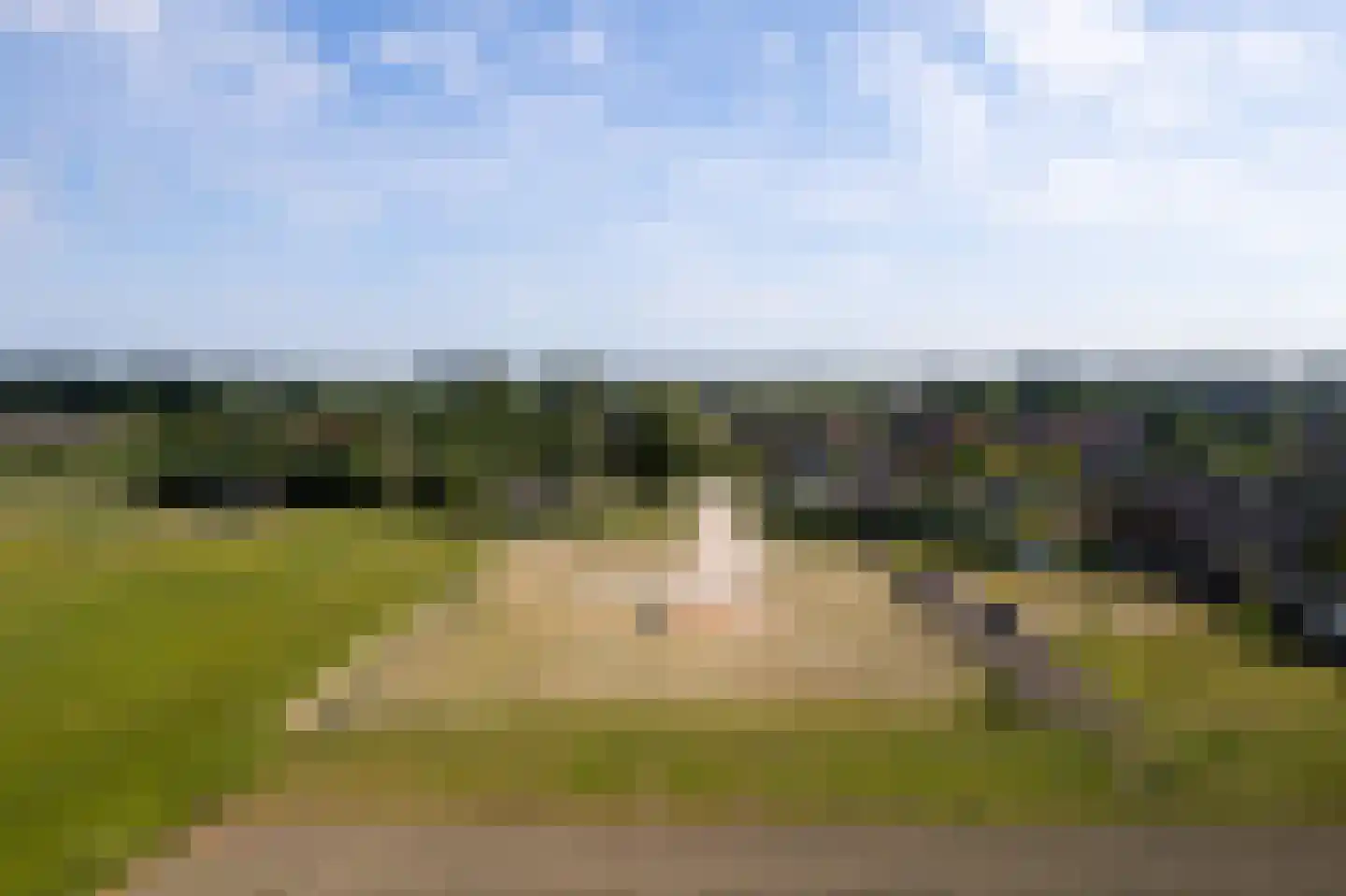 Dorpspad 1 Vogelwaarde thumbnail 8