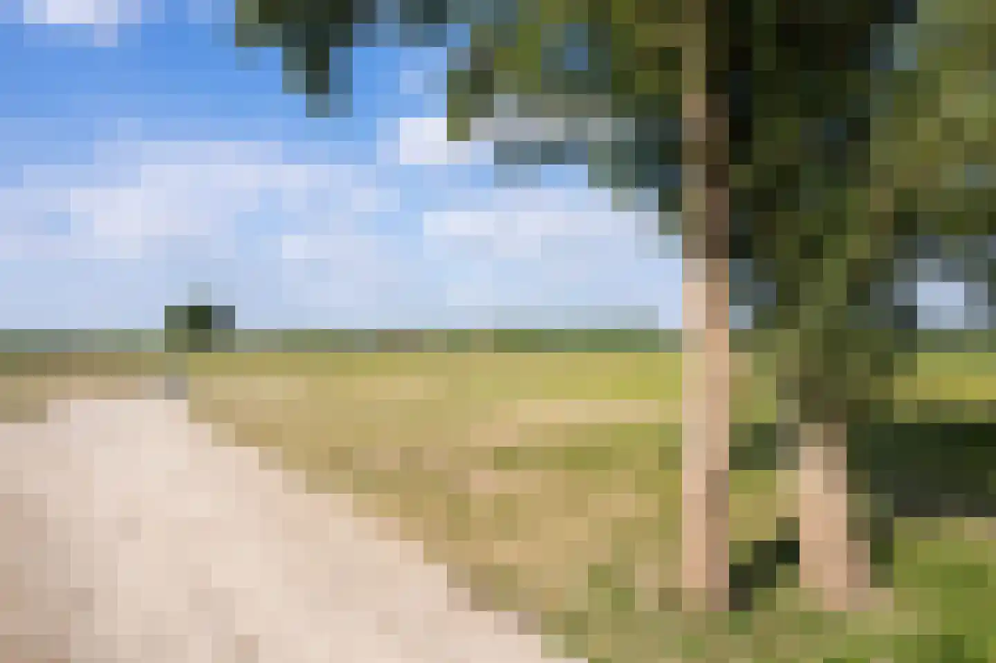Dorpspad 1 Vogelwaarde thumbnail 9