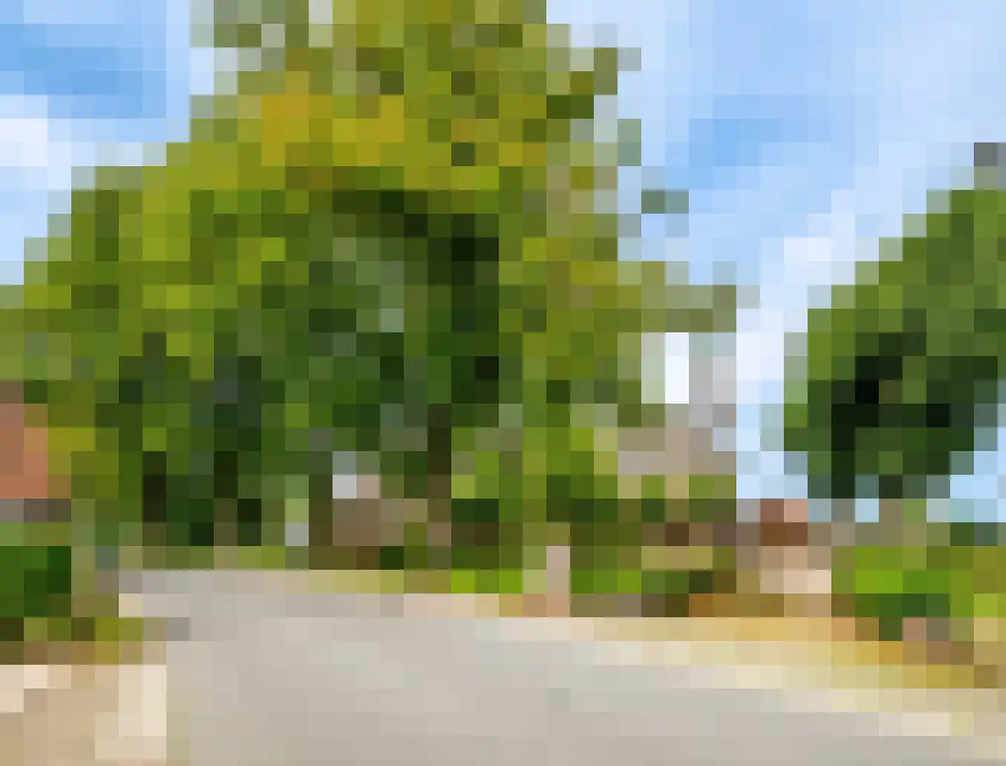 Dorpsplein 1 Haarlemmerliede thumbnail 11