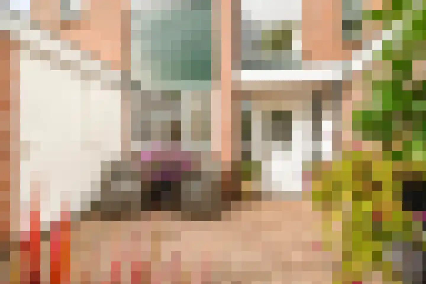 Dorpsplein 1 Haarlemmerliede thumbnail 15