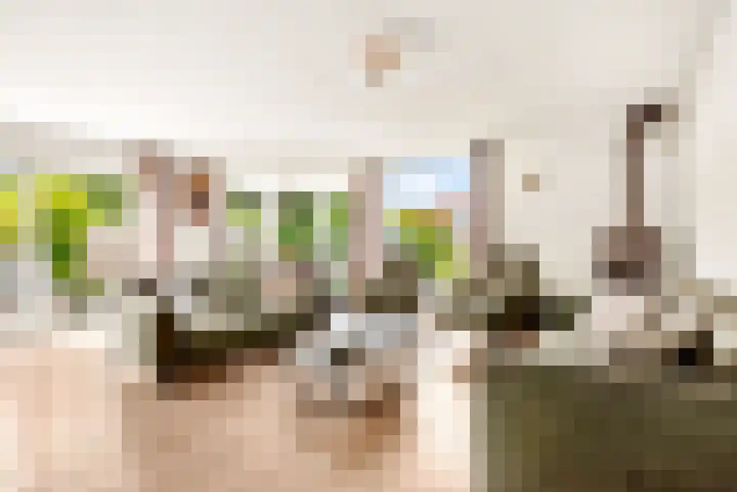 Dorpsplein 1 Haarlemmerliede thumbnail 5