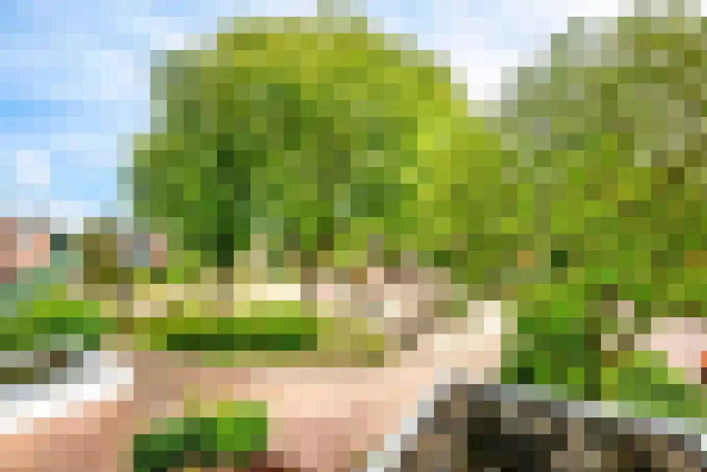 Dorpsplein 1 Haarlemmerliede thumbnail 66