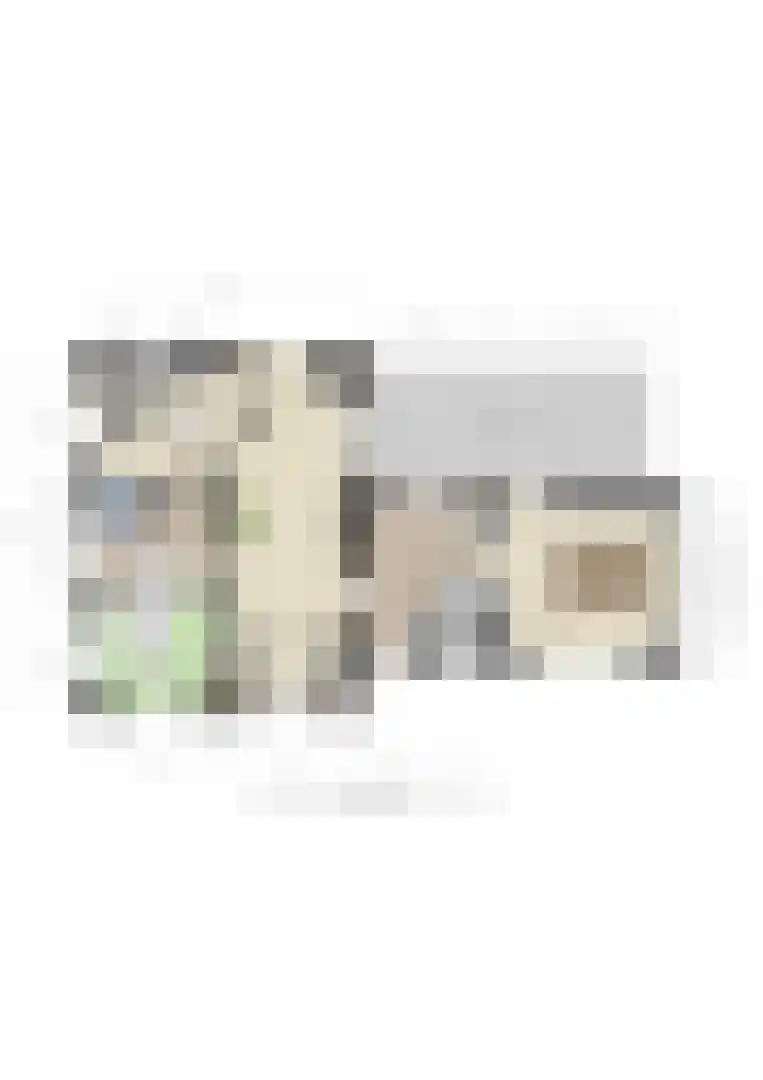 Dorpsplein 1 Kesteren thumbnail 101