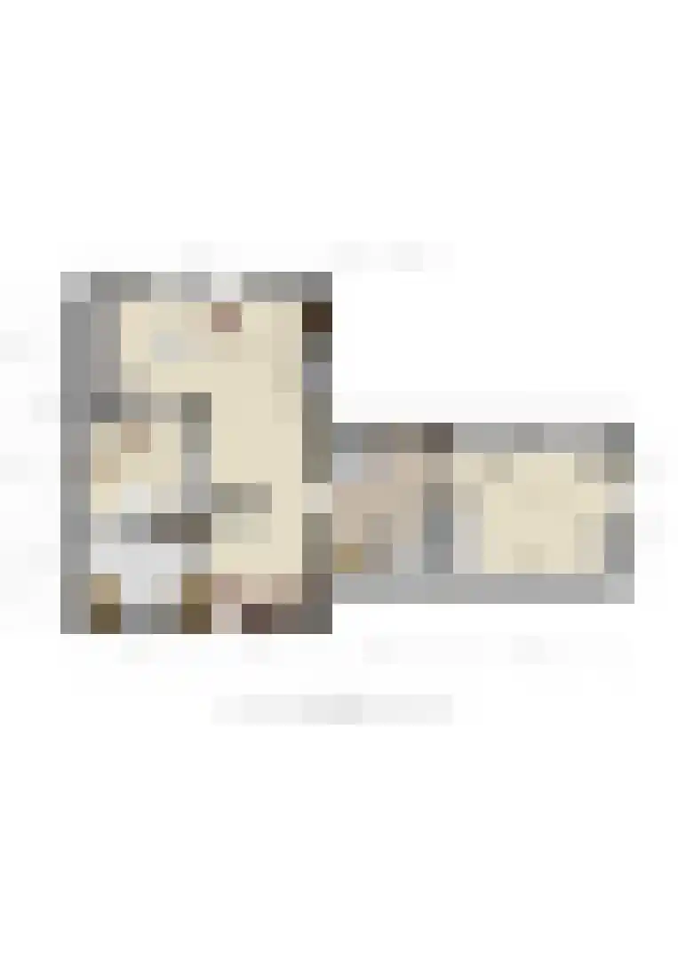 Dorpsplein 1 Kesteren thumbnail 103