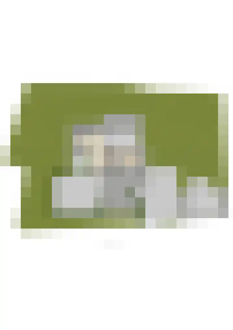 Dorpsplein 1 Kesteren thumbnail 105