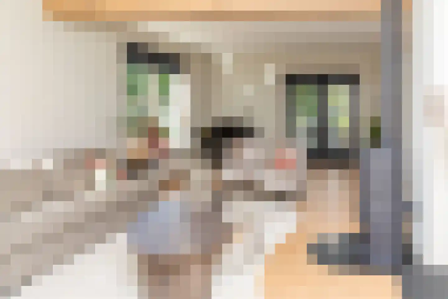 Dorpsplein 1 Kesteren thumbnail 14