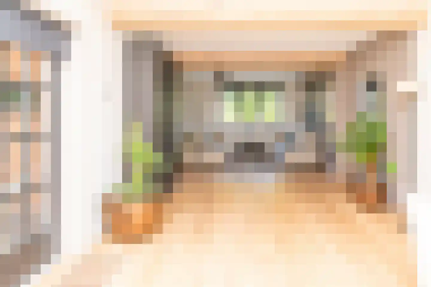Dorpsplein 1 Kesteren thumbnail 15
