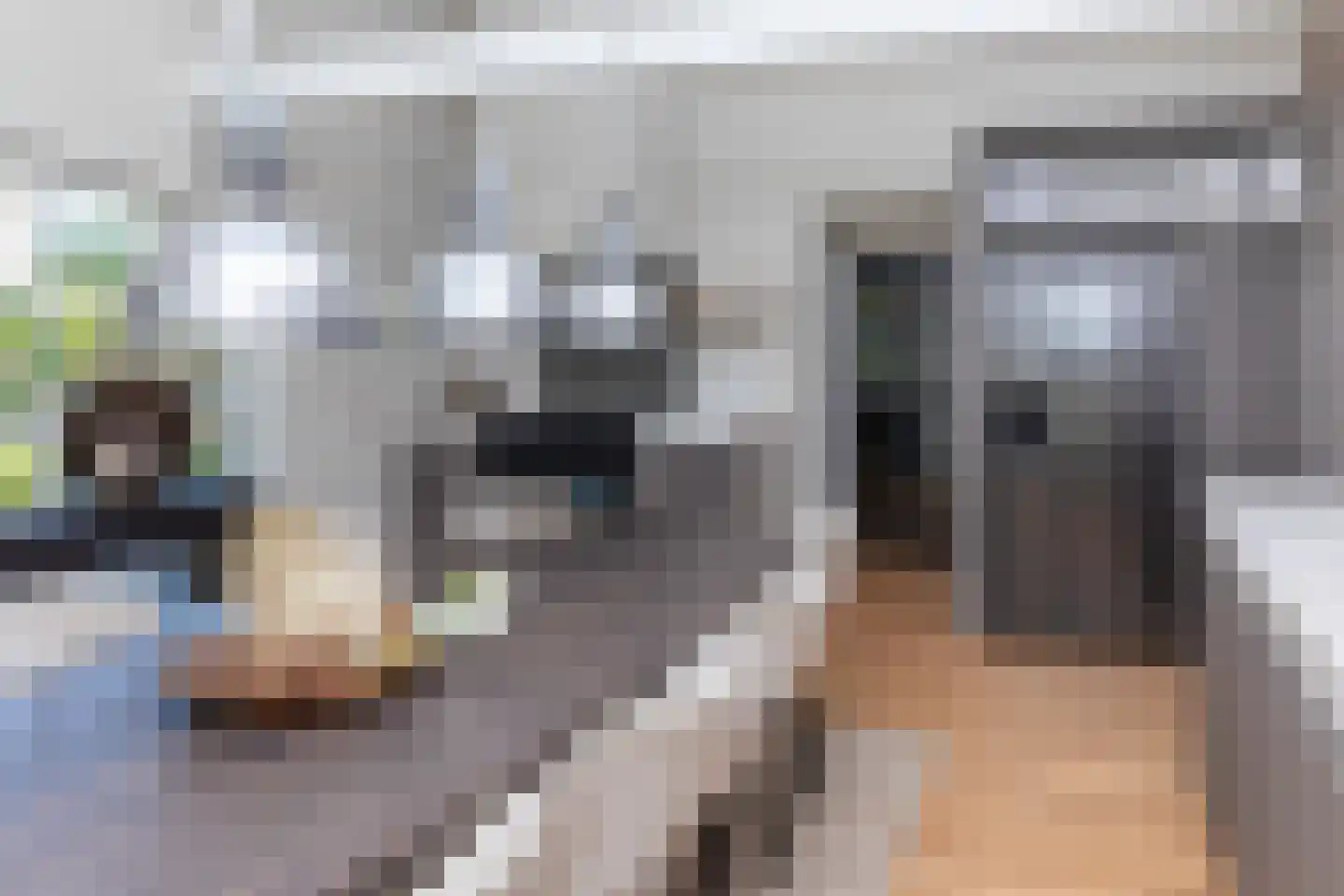 Dorpsplein 1 Kesteren thumbnail 22