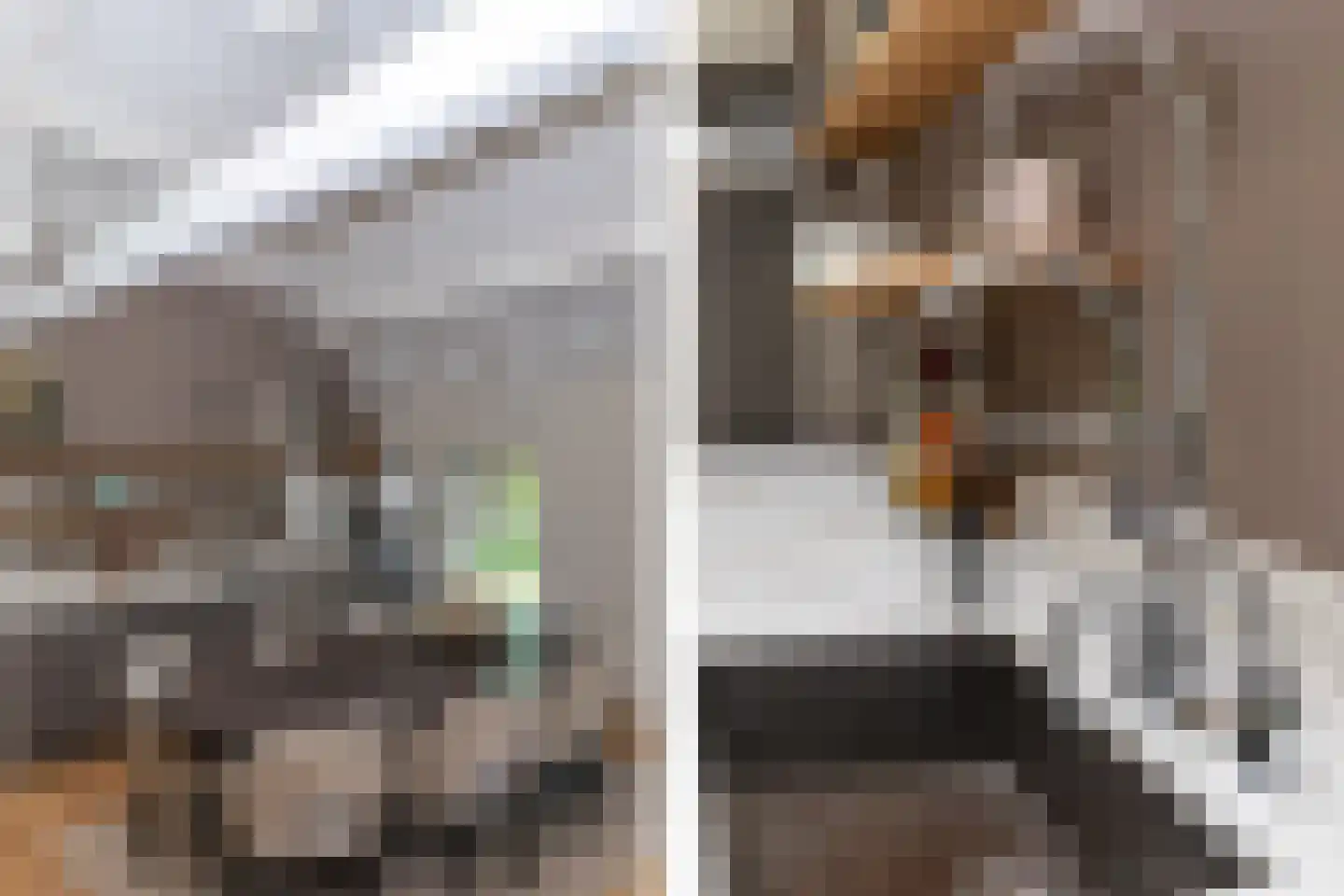 Dorpsplein 1 Kesteren thumbnail 25