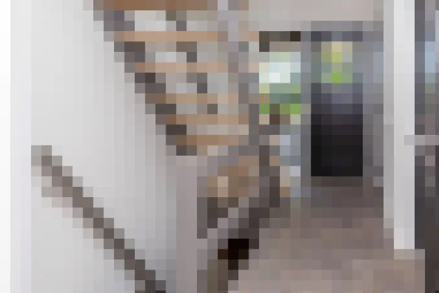 Dorpsplein 1 Kesteren thumbnail 28