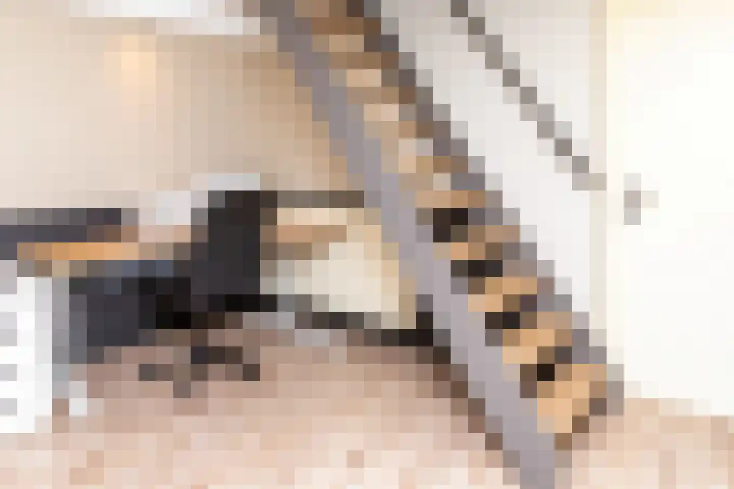 Dorpsplein 1 Kesteren thumbnail 44
