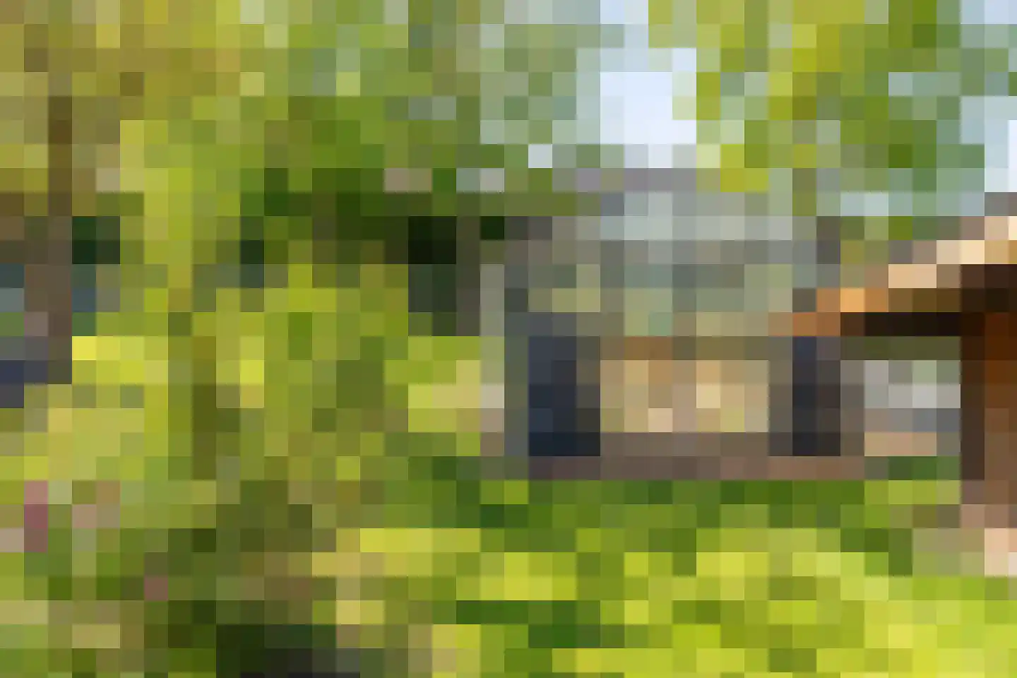 Dorpsplein 1 Kesteren thumbnail 51