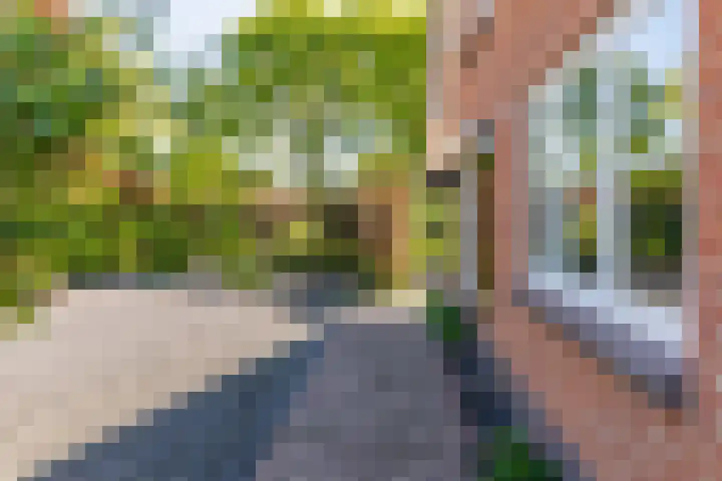 Dorpsplein 1 Kesteren thumbnail 55