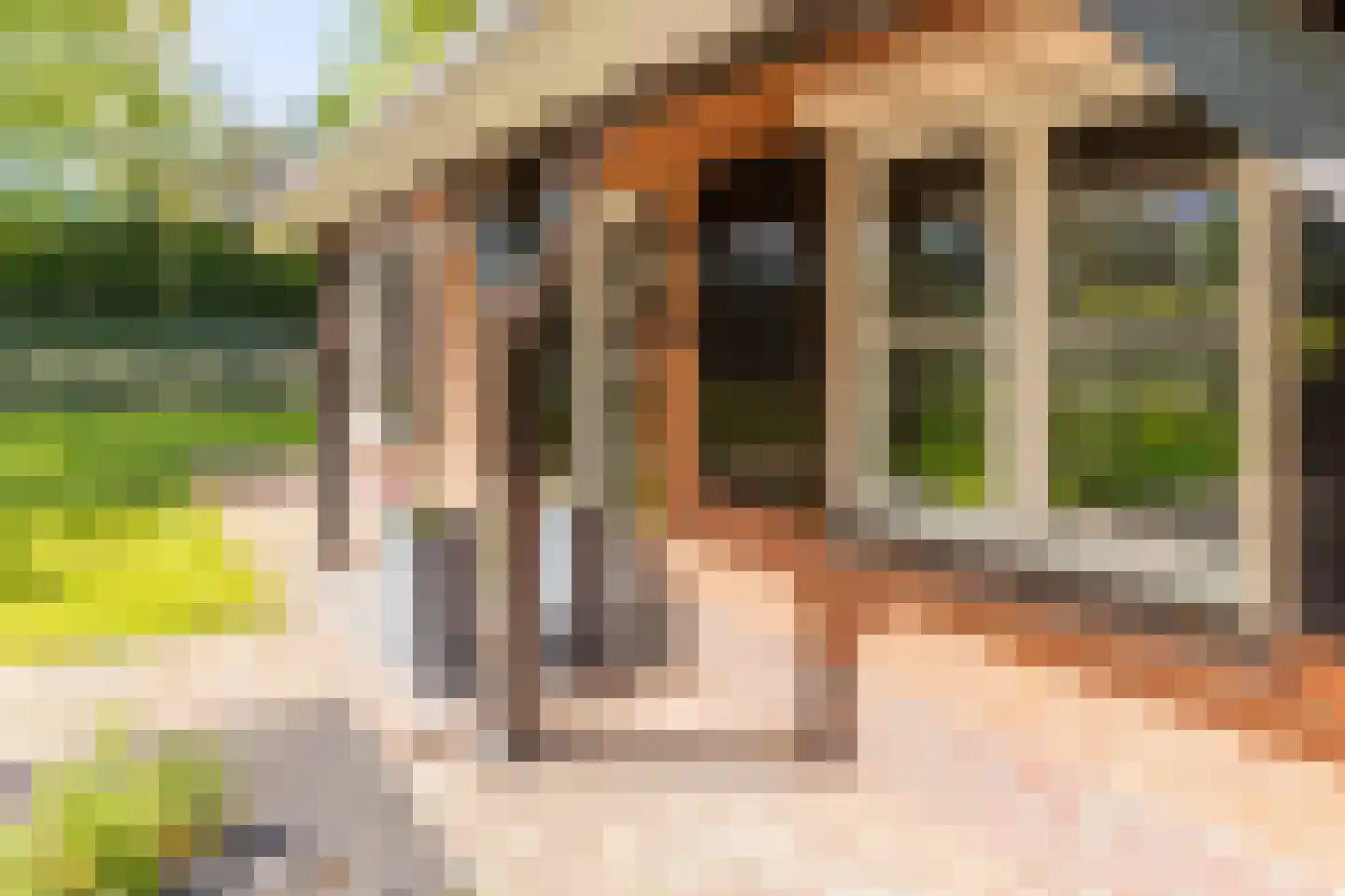 Dorpsplein 1 Kesteren thumbnail 57