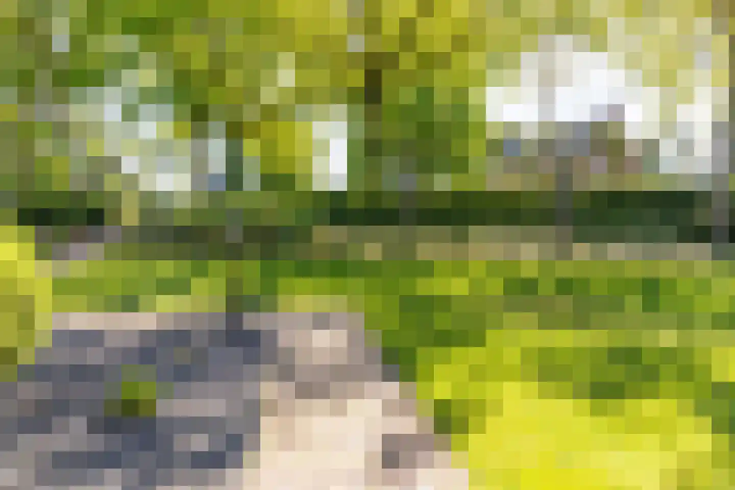 Dorpsplein 1 Kesteren thumbnail 58