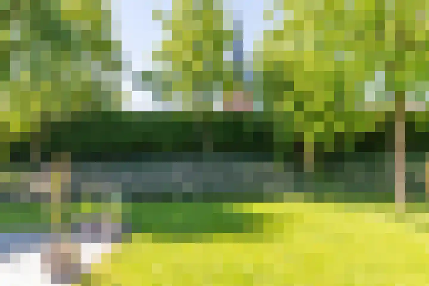 Dorpsplein 1 Kesteren thumbnail 59