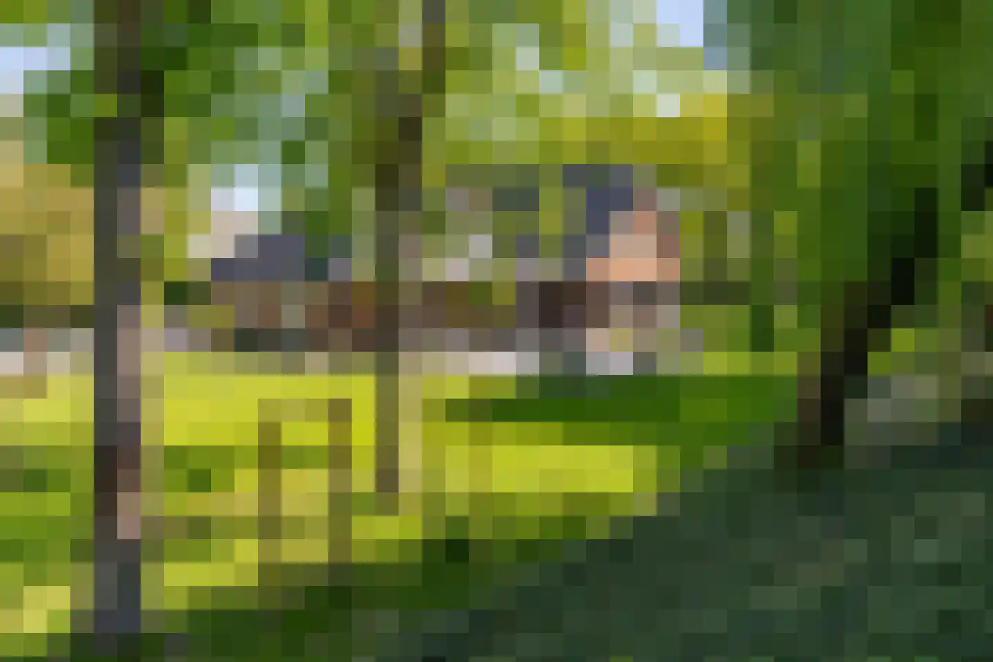 Dorpsplein 1 Kesteren thumbnail 64