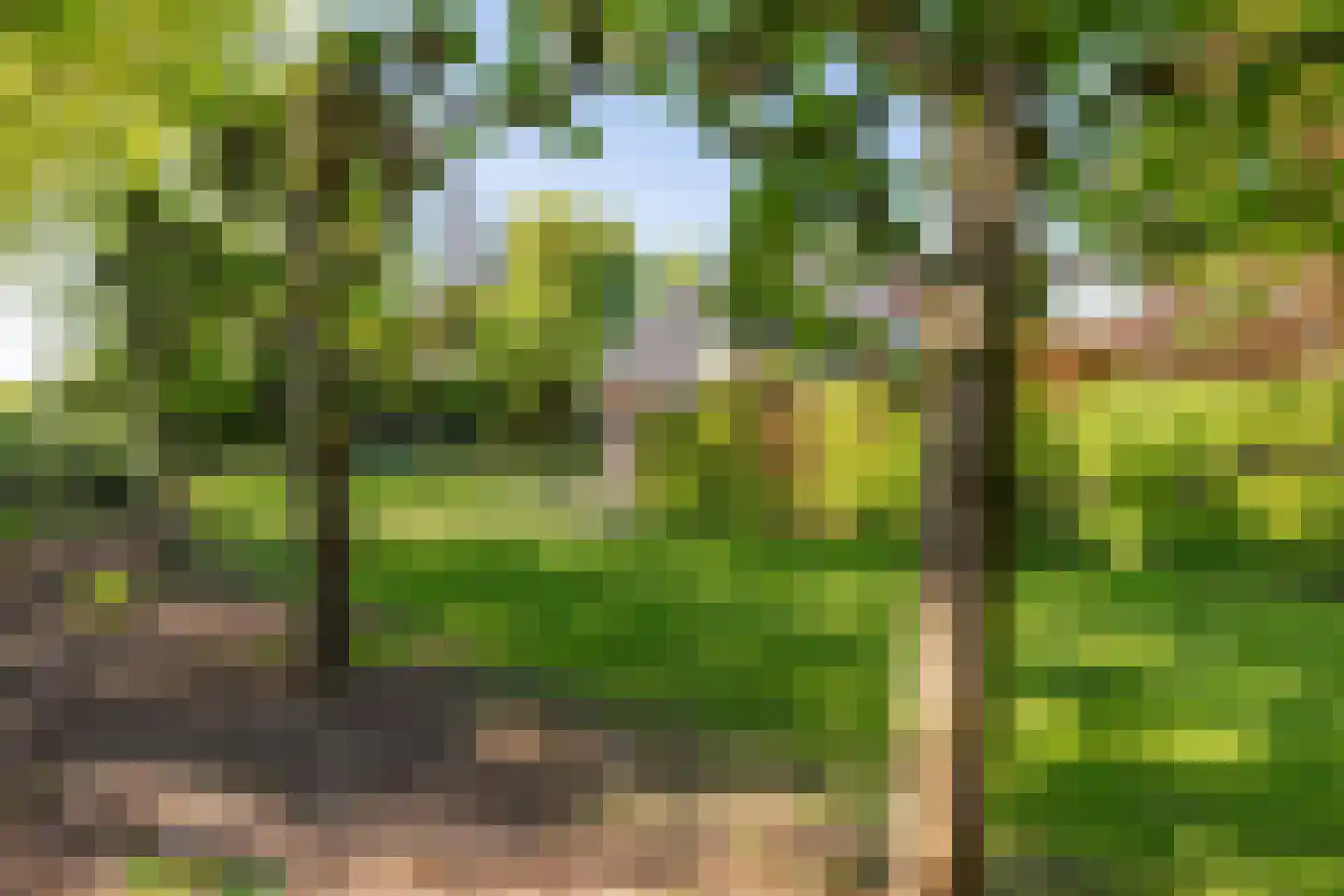 Dorpsplein 1 Kesteren thumbnail 7