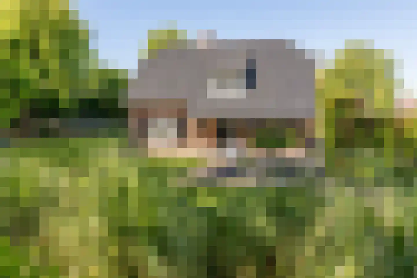 Dorpsplein 1 Kesteren thumbnail 71