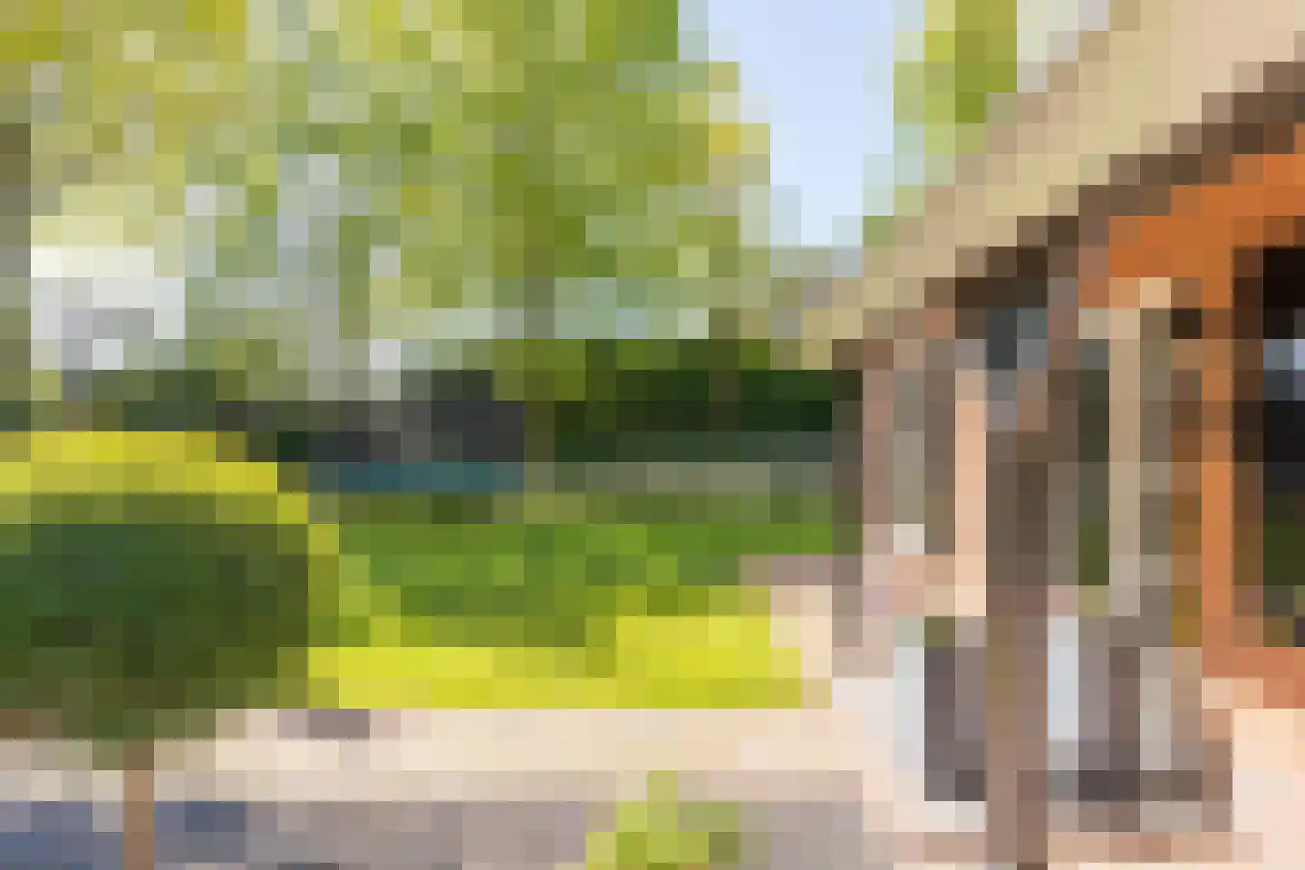 Dorpsplein 1 Kesteren thumbnail 73