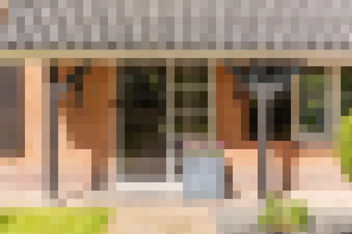 Dorpsplein 1 Kesteren thumbnail 8