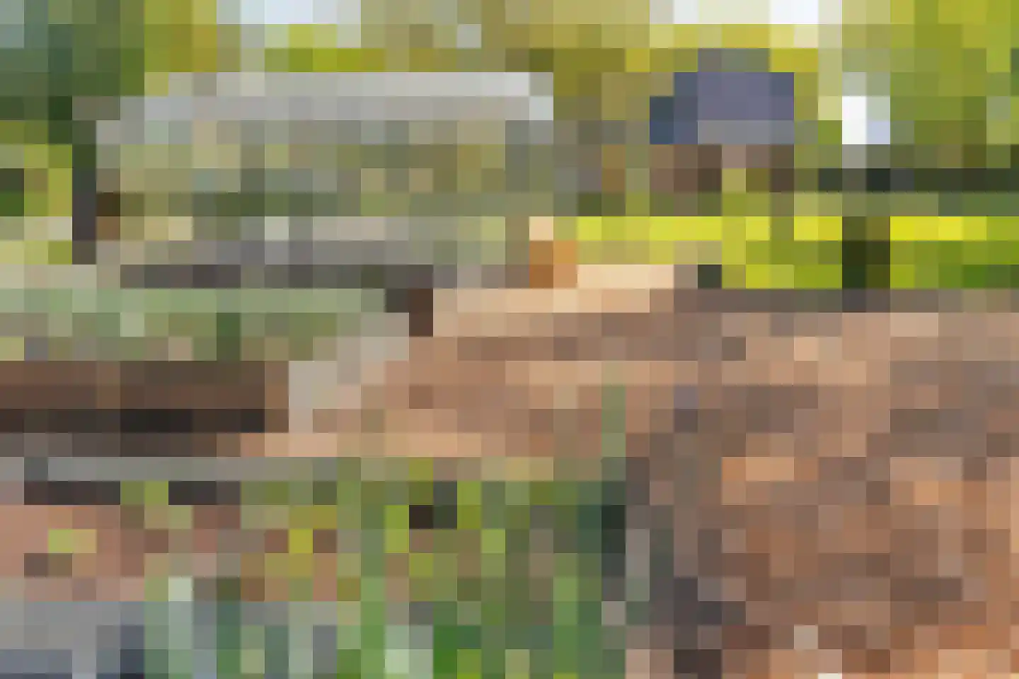 Dorpsplein 1 Kesteren thumbnail 96