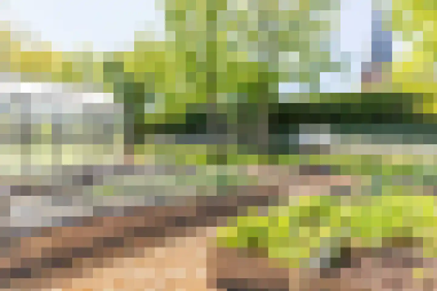 Dorpsplein 1 Kesteren thumbnail 97