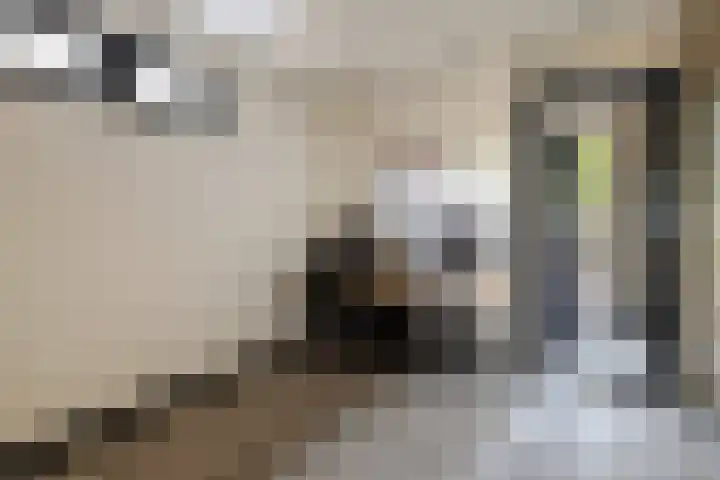 Dorpsplein 10 E Wekerom thumbnail 15