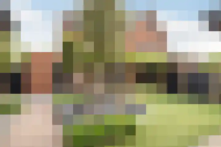 Dorpsplein 10 E Wekerom thumbnail 30